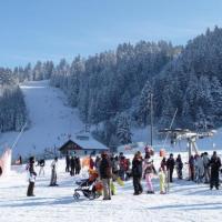 Photo domaine skiable